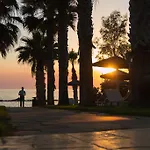 فيلة Posidonia